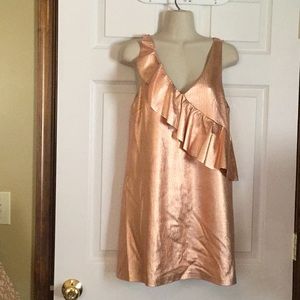 Zara Dress NWT
